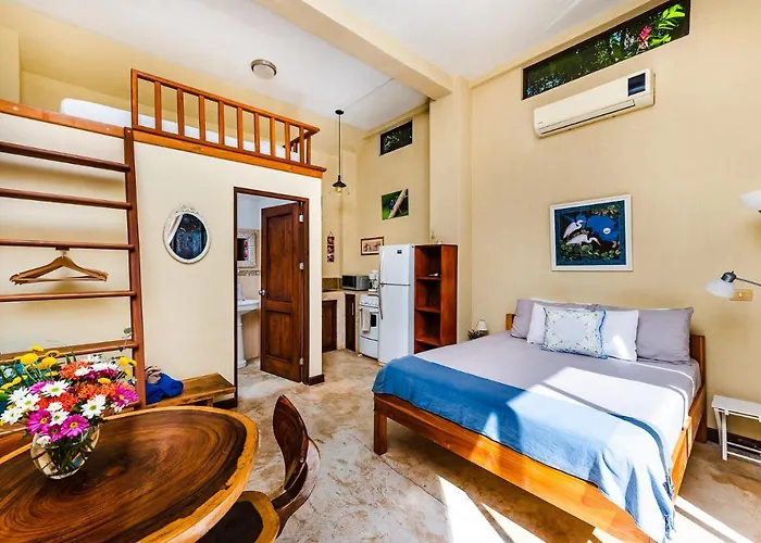 Guest house Nautilus 4*