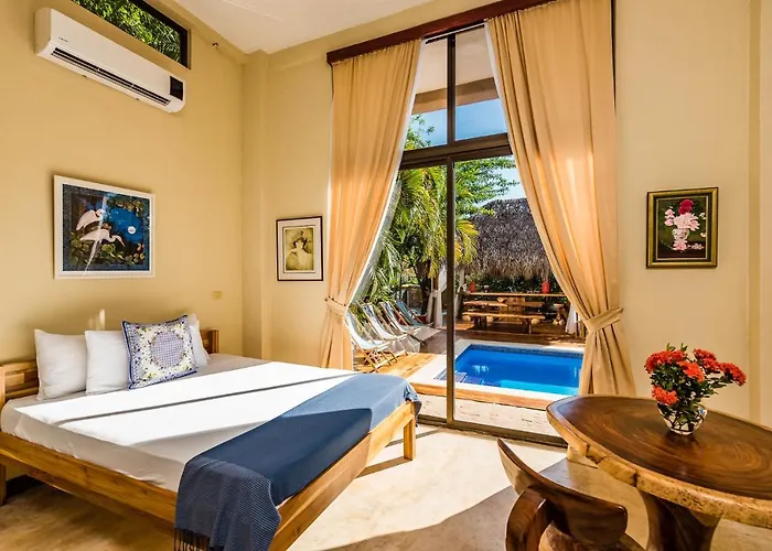 Nautilus Guest house
