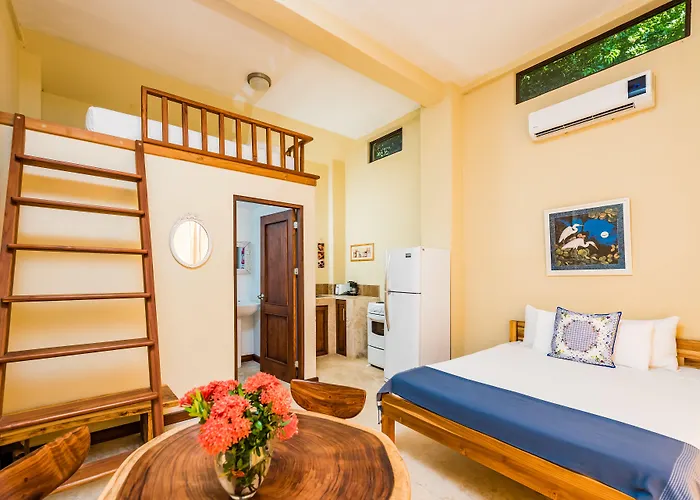 Guest house Nautilus 4*