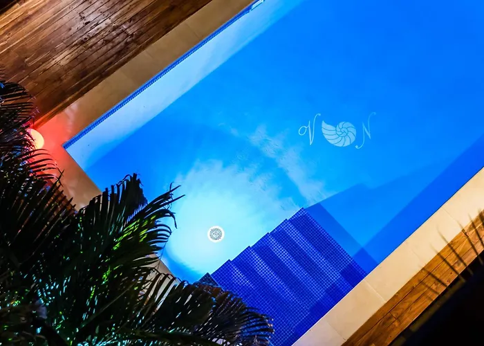 Nautilus